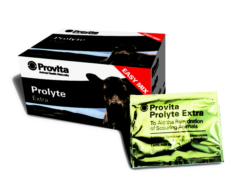 Provita Prolyte Extra 12 X 76G