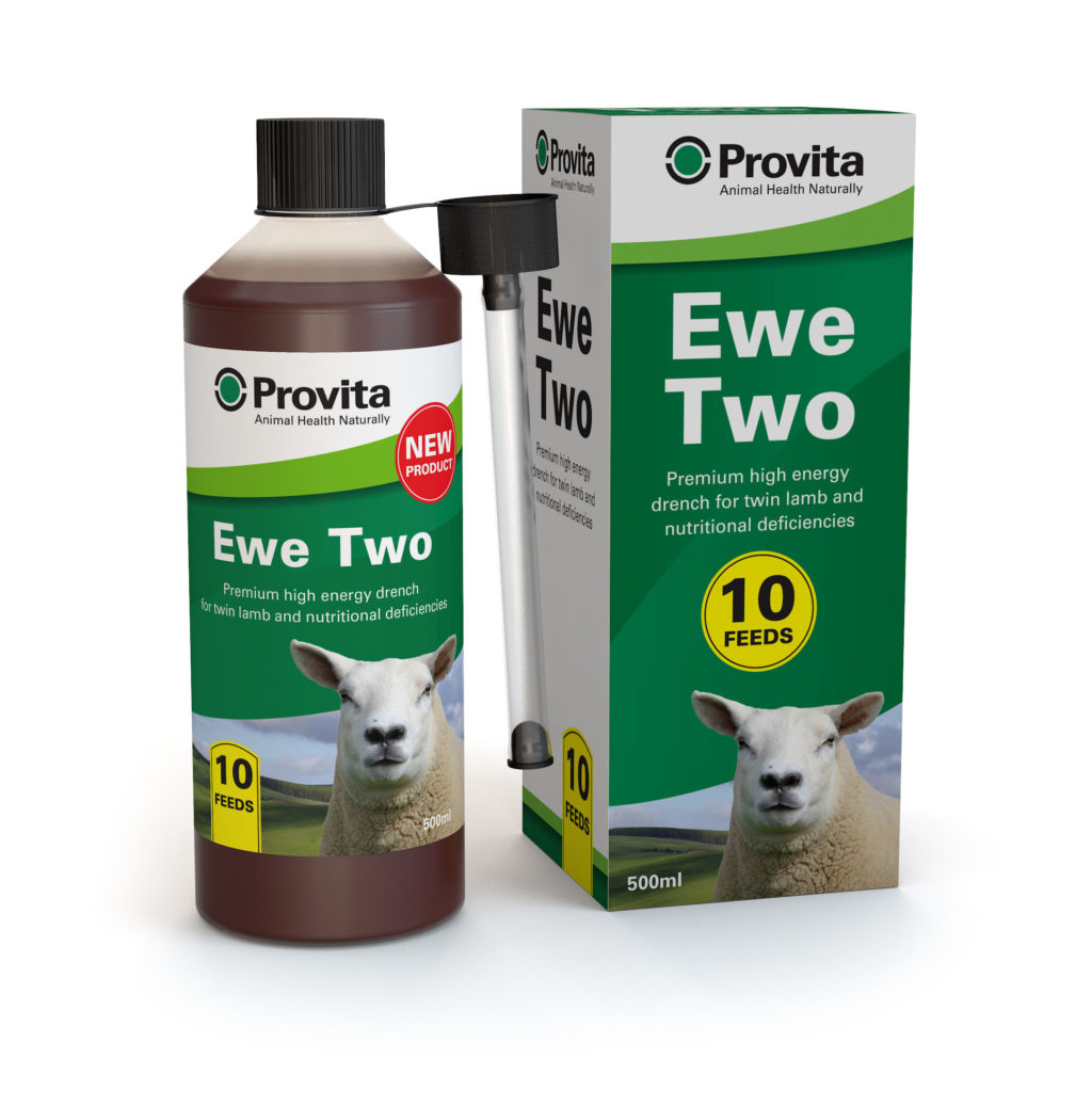 Provita Ewe Two Twin Lamb Drench 10 Dose