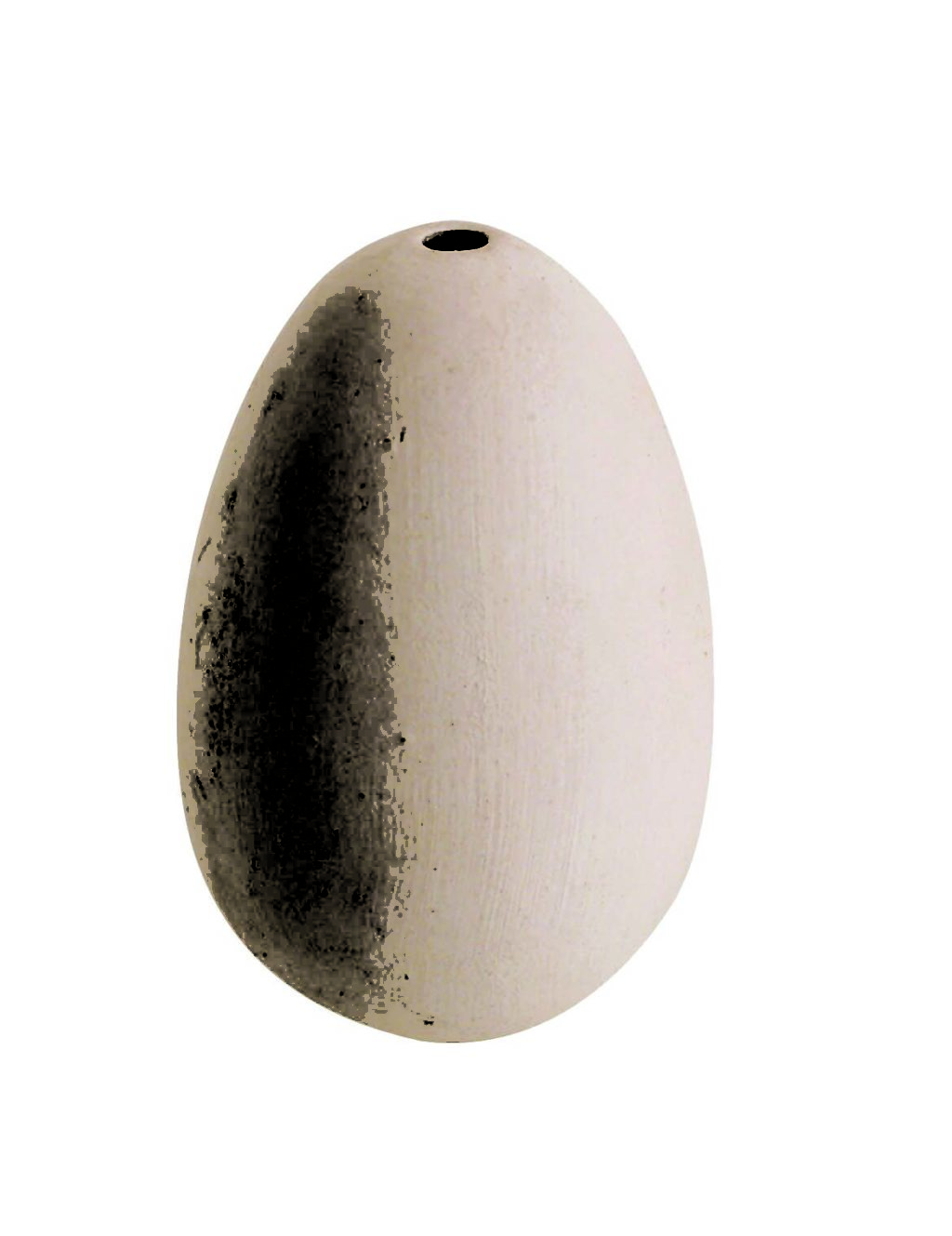 Poultry Hen Eggs Ceramic (4)
