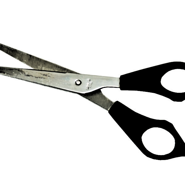 Scissors Economy