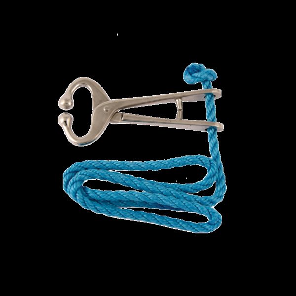 Bullholder With Rope (P)