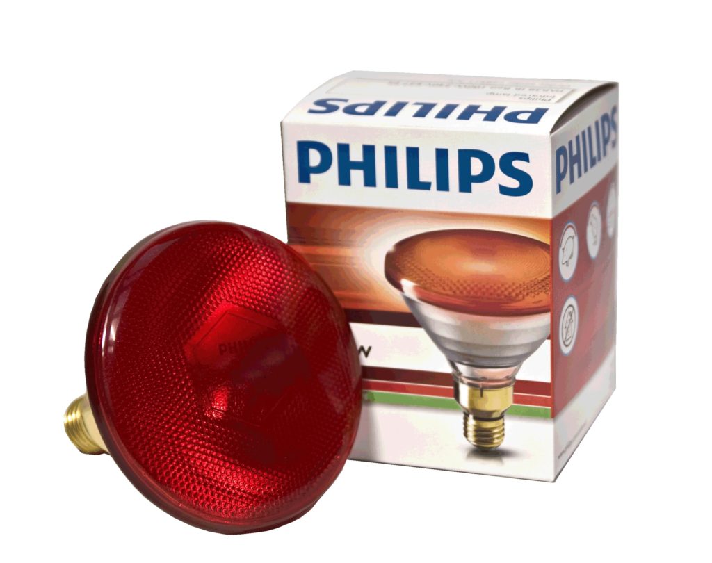 Heatlamp I/Red Bulb 100w Red