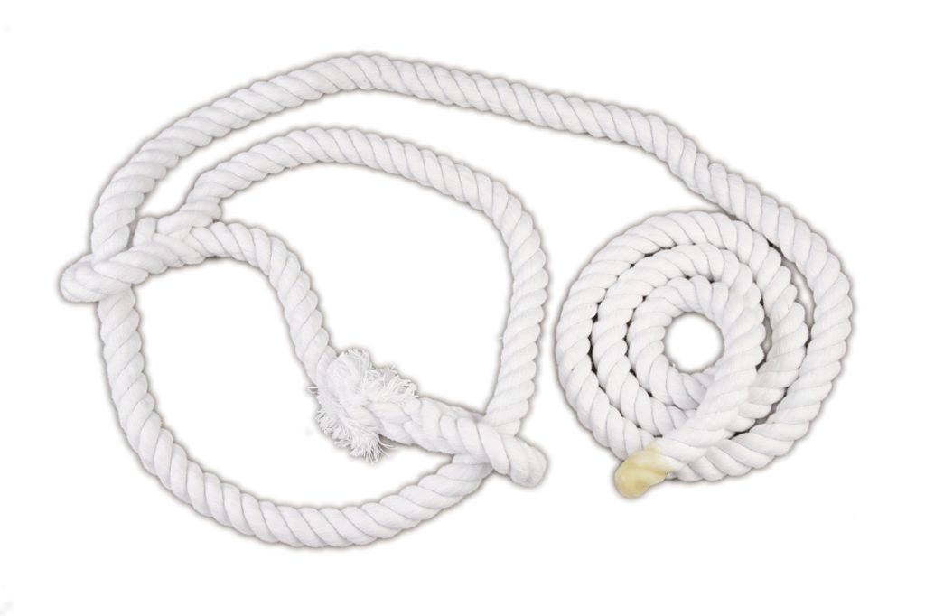 Halter Bull Cotton White (Show) (A)