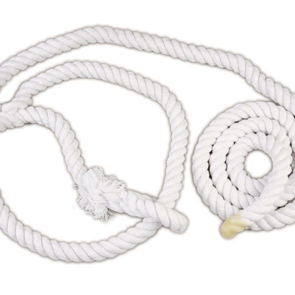 Halter Bull Cotton White (Show) (A)