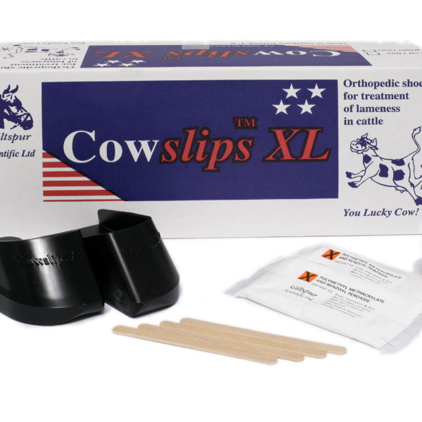 Cowslips Xl Big 40